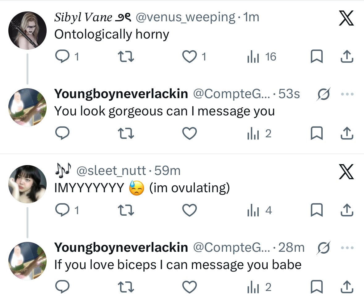 𝑆𝑖𝑏𝑦𝑙 𝑉𝑎𝑛𝑒 ౨ৎ tweet media