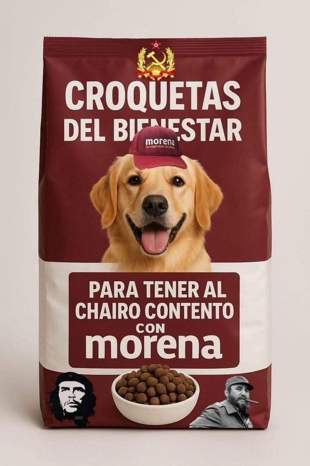 Lito tweet media