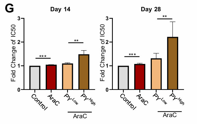 BCD_AACR's tweet photo. Read this just published research article by Ulrich Steidl, et al. “Rapid Transcription Dynamics Confers Cytarabine Resistance in Acute Myeloid Leukemia.” #Myeloid2026 https://t.co/rQWihjz6G0 @MontefioreNYC https://t.co/Cm3QaEeViA