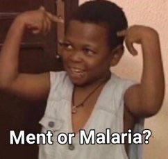 Kingzo MD🇳🇬🇺🇦 tweet media