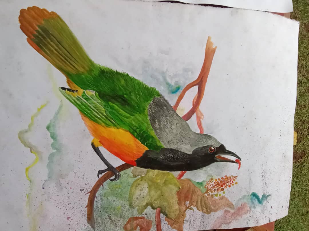 CharlieBeau's tweet photo. @DoctorGladys An incredible drawing! 
My uncle took up painting when he retired. When he passed away my aunt didn't know what to do with his unused art materials.  We donated them to young artists of Buhoma. They were so grateful for his paintbrushes.
Here's their thank you 🥰

#ExploreUganda https://t.co/HPv1VEKKqn