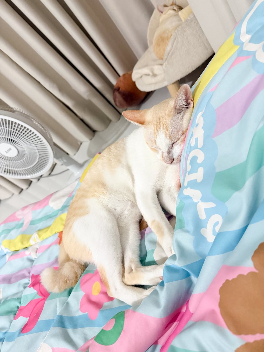 supject_sweet's tweet photo. สงสัยนวดให้นุดจนเหนื่อย 😴 https://t.co/tJX4MHejZa