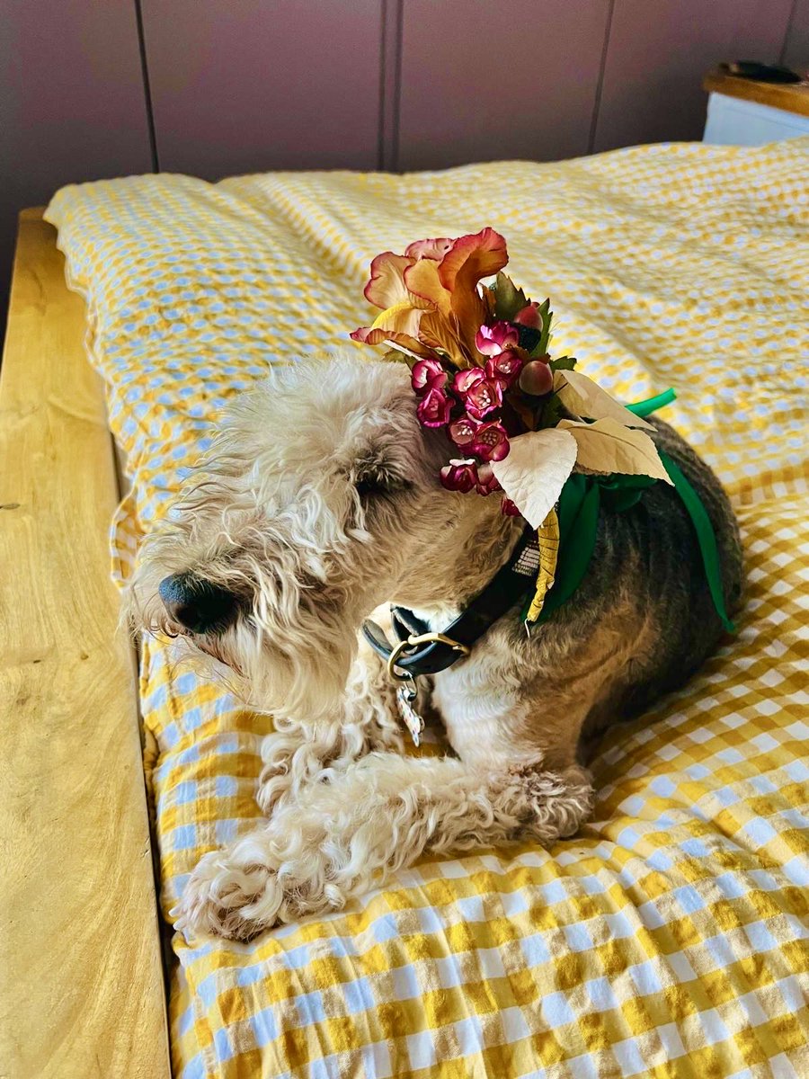 Bertie Lakeland tweet media