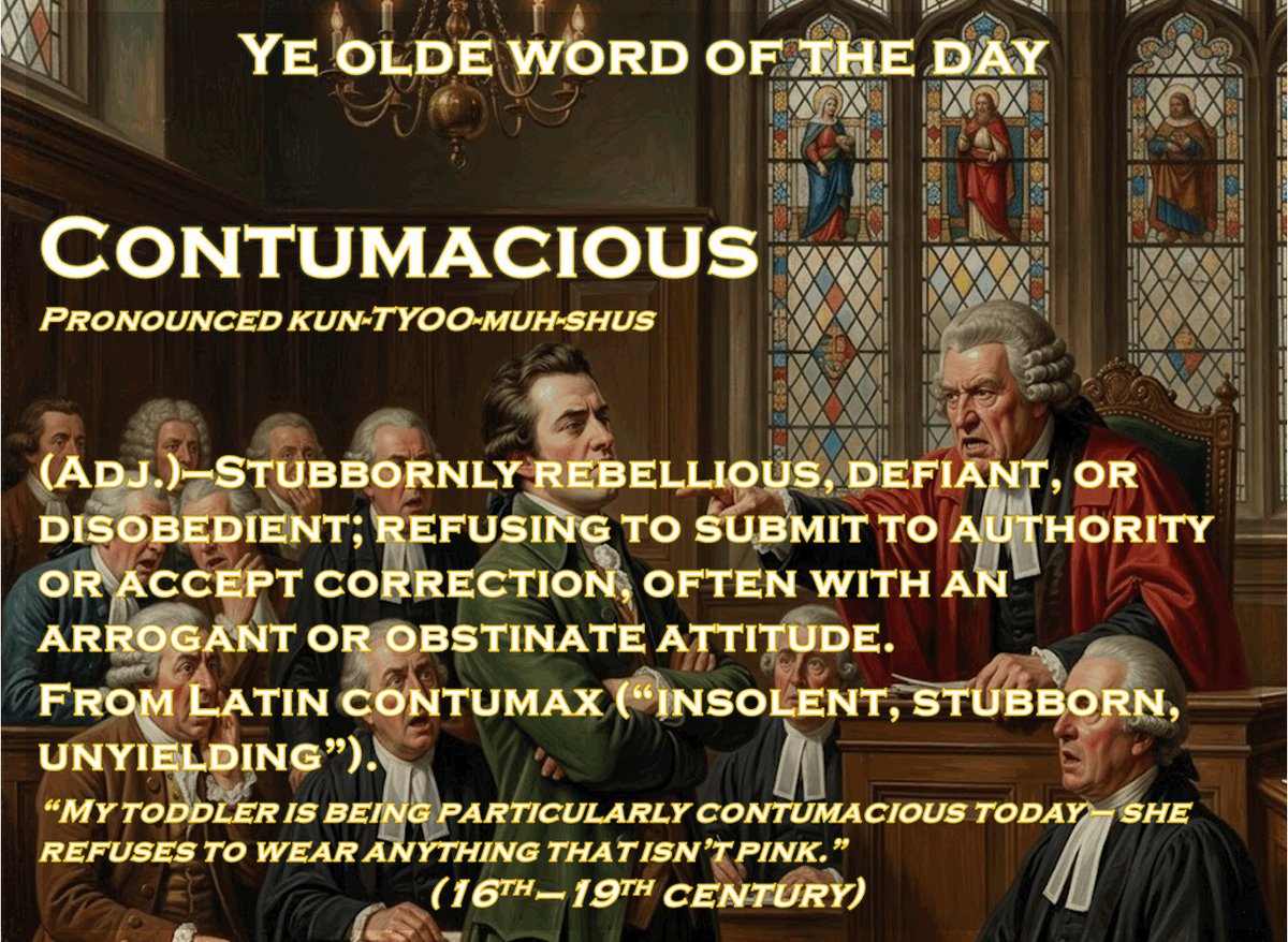deanpb_author's tweet photo. Bringing old words back to life.  

Ye olde word of the day - Contumacious 

Has anyone you know been contumacious this week?
 
#booktok #OldWordOfTheDay #OldWords #WordOfTheDay https://t.co/e8kDhYSvLx