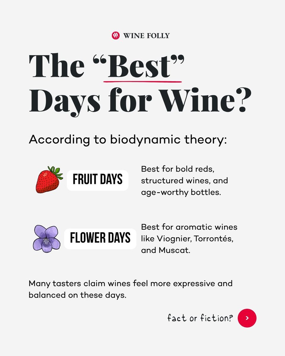 WineFolly's tweet photo. Wine already asks us to pay attention to tiny variables:
- vintage
- serving temperature
- oxygen exposure
- glass shape
- even the room you taste in
So it’s no surprise that one of wine’s strangest debates centers on timing.
In biodynamic calendars, days are divided into four categories based on the moon’s position relative to zodiac constellations:
- Fruit Days
- Flower Days
- Leaf Days
- Root Days
The theory suggests wines show differently depending on the day. According to proponents:
- fruit days favor structured reds and age-worthy wines.
- flower days flatter aromatic varieties like Viognier and Torrontés.
- root and leaf days can make wines feel muted or less expressive.
Science hasn’t confirmed a measurable connection between lunar cycles and wine tasting. But the idea persists because many tasters, from collectors to sommeliers, claim they notice consistent patterns.
Learn more at https://t.co/qXsBxFzsIf