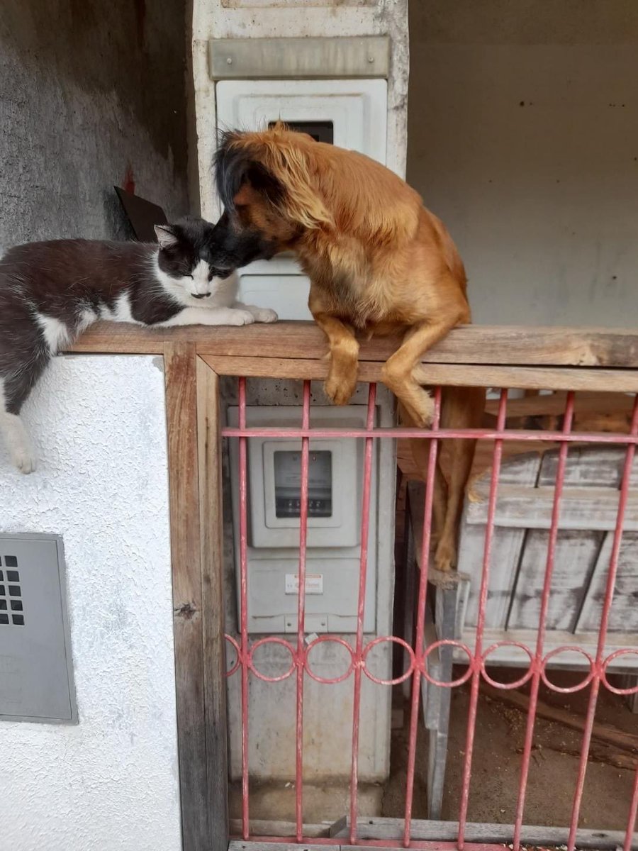 MACATS tweet media