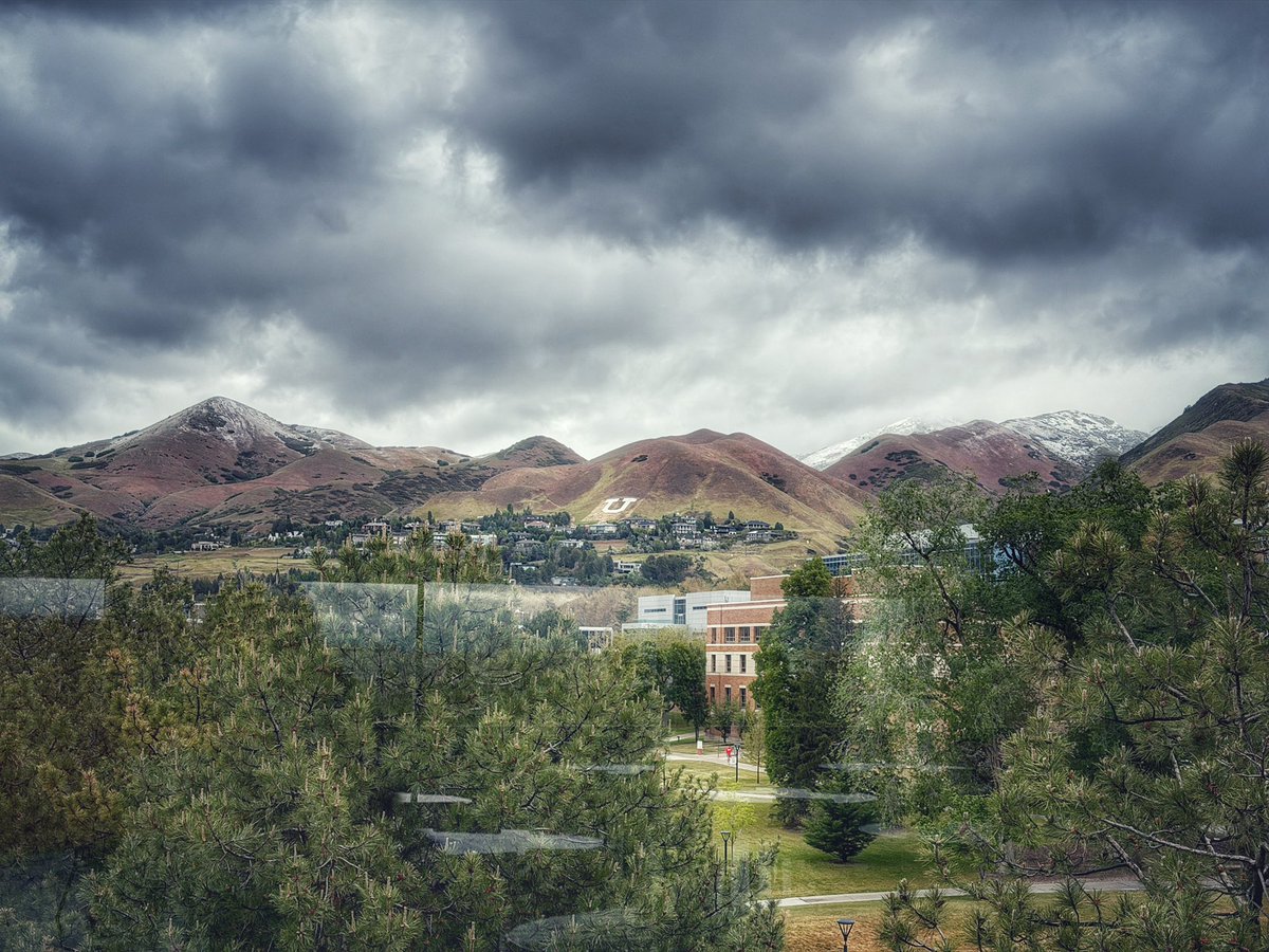 University of Utah tweet media