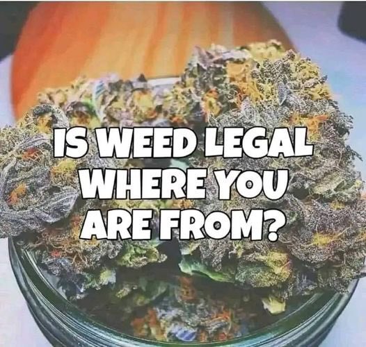 Bud Box puff tweet media