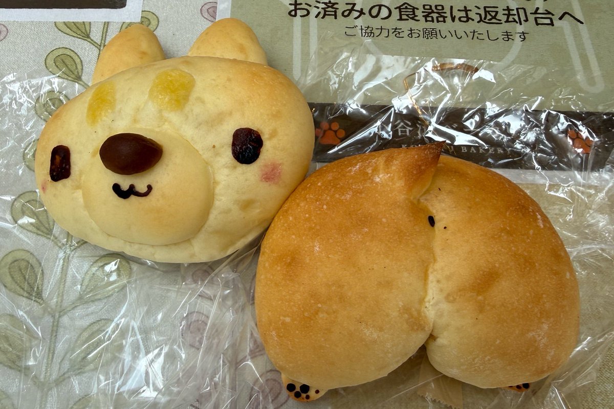 belltterxx's tweet photo. 🐕ベルさん&amp;🐕実家犬ぽぽちゃん🐕
ドギーズアイランドに行きました♫
ワンちゃん用パン🥐🍞🥖を買って食べました♪
#小谷流の里ドギーズアイランド
#ダックスフンド
#ミニチュアダックスフンド
#ミニチュアダックス
#トゥクトゥク犬
#ウルベルシスターズ
#ダックス https://t.co/Ok70cXZY4h