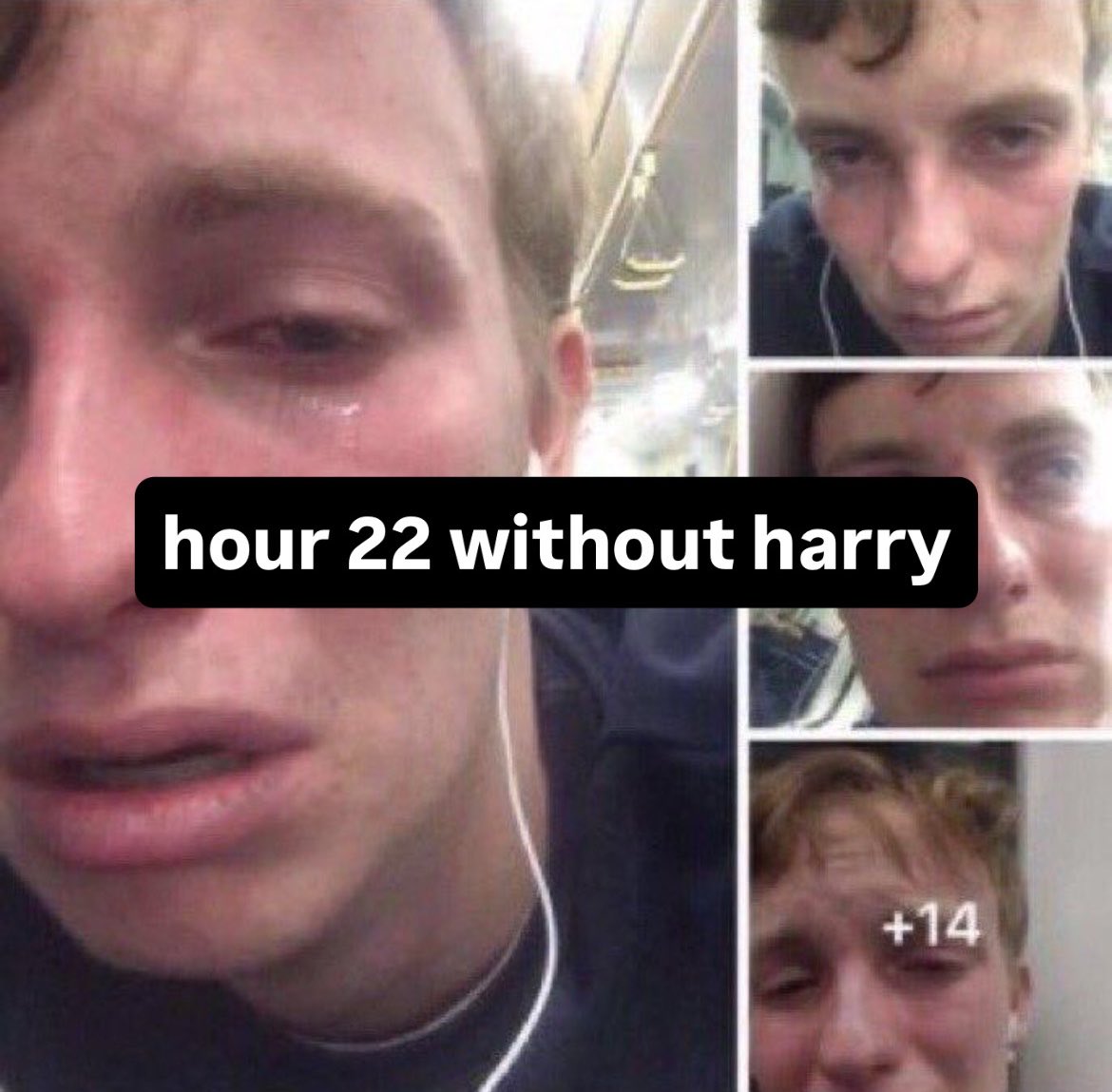 Harry Styles Shady Facts tweet media