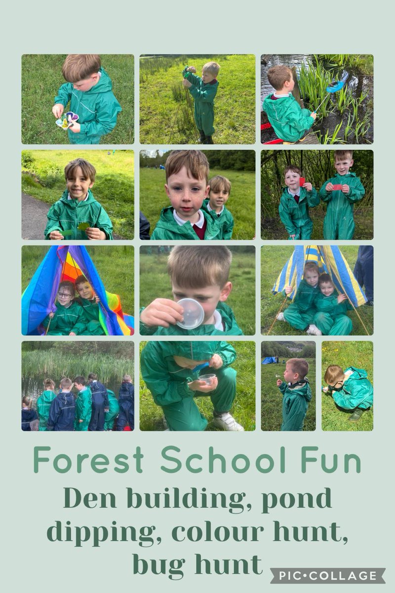 ALCSixBells1's tweet photo. 1MC loved their forest school day, they were pond dipping, den building, went on a bug hunt and a colour hunt!🌳 @ALC3to16 https://t.co/QKfcRwyo0I