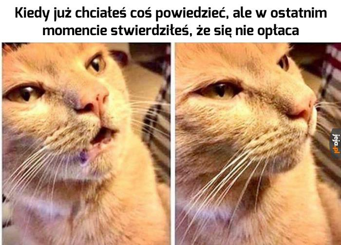 K.O Kryptowaluty tweet media