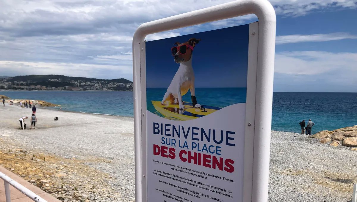 Henry-Jean Servat tweet media