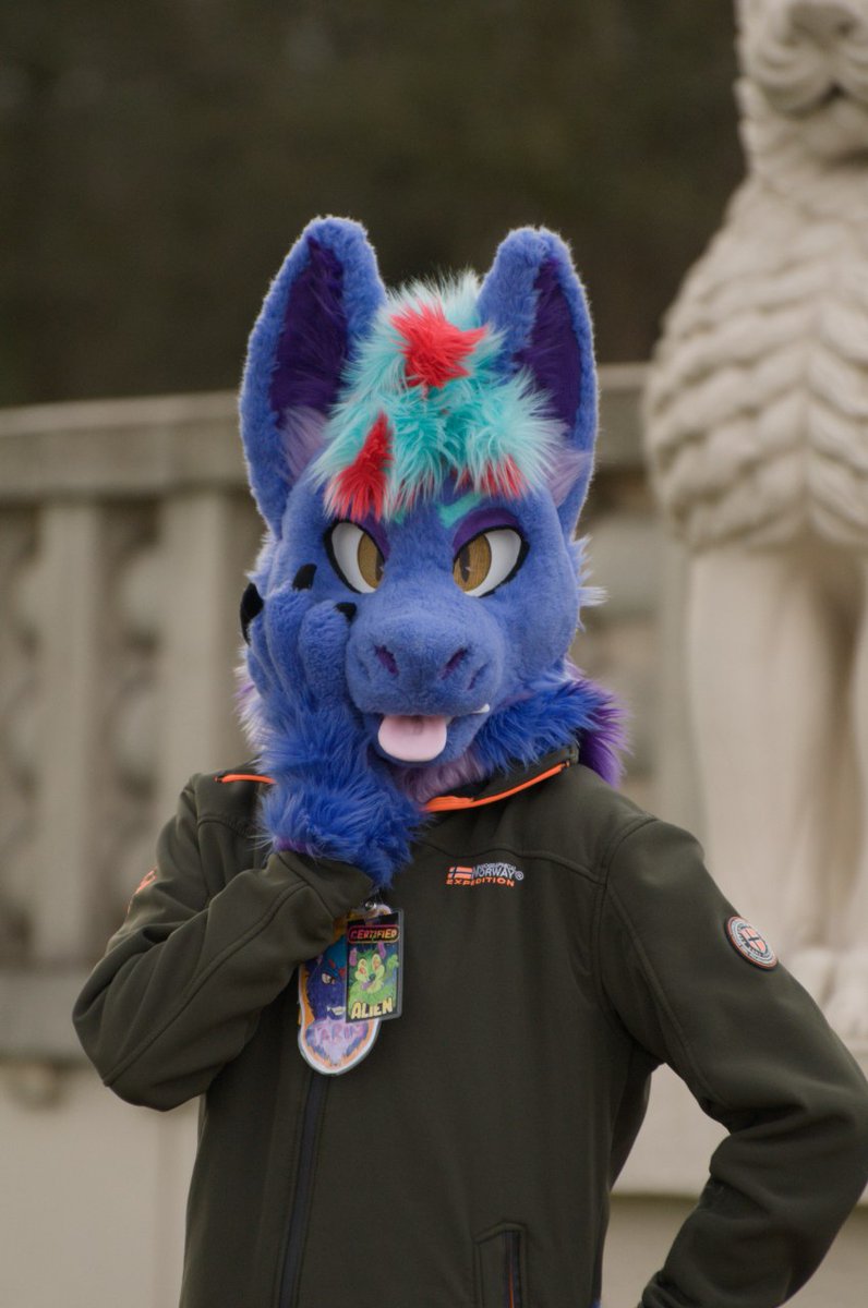 TarintheEveian's tweet photo. How to find me at Cfz 2026!

Do! ✅ 

Take pictures of me! 📸 
Make alien jokes 👽 
Ask me for hugs ♥ 

Don't! X

Be creepy

Follow me around and to my room if I don't know you

Touch me inappropriately https://t.co/Mw0mzRLK1z
