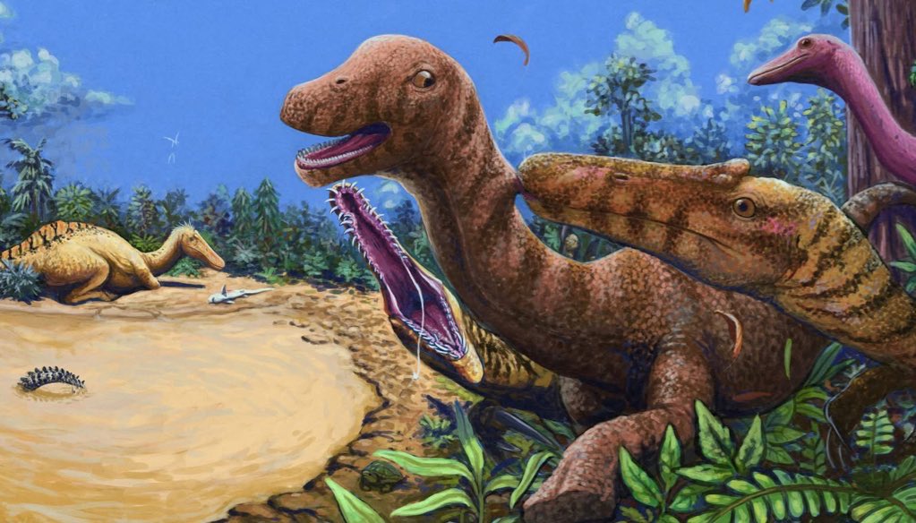 Namosaurus's tweet photo. ขอฝากตัวด้วยนะครับ ดีใจที่มีคนให้ความสนใจ paleoart กันมากขึ้นจากข่าวนากาไททัน อยากเห็นนักวิจัย หรือเพจข่าวใช้งาน paleoartist กันมากขึ้นครับ จ้าง น้องๆพี่ๆ เพื่อนๆ ให้เขาสามารถทำงานแนวนี้หากินได้เลย วงการเราจะได้มีสีสันขึ้นไปอีกครับ https://t.co/BvlMkFGAxQ