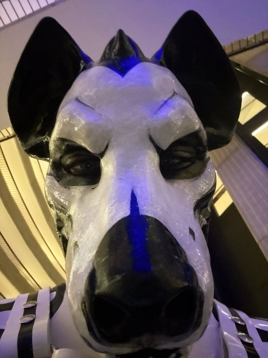 Skulker Yeen tweet media