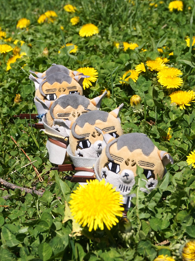 ymahkamui's tweet photo. 🌼🐱🐱🐱🐱🐱🌼
#フォゼ尾といっしょ https://t.co/VNcaUQ87J8