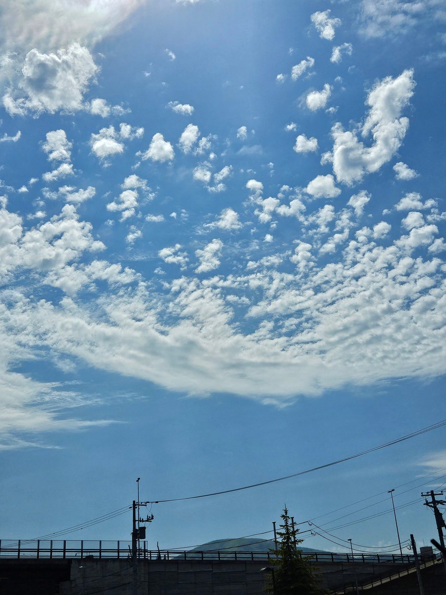 半世紀おばさん tweet media