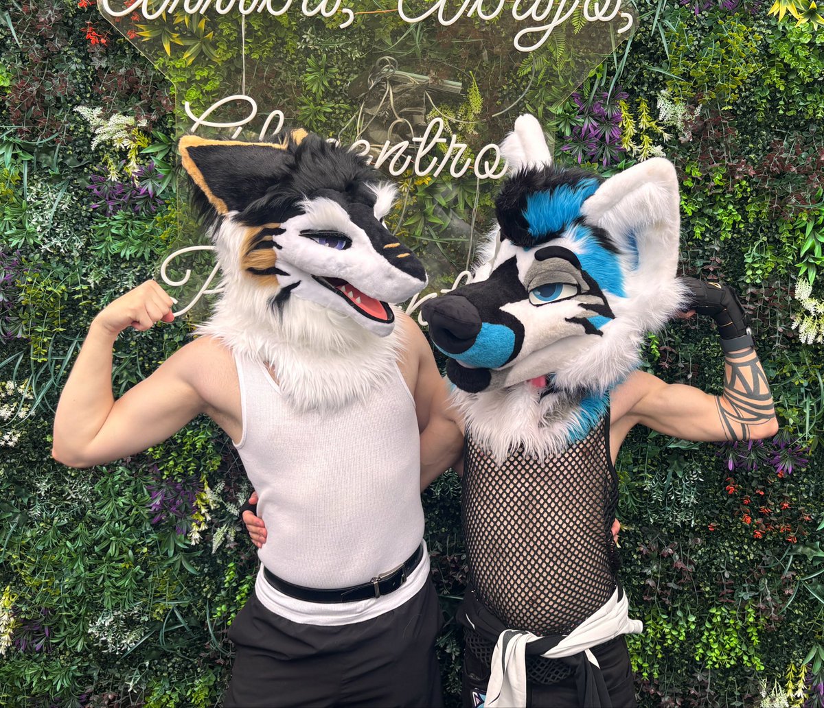 Spicy4K's tweet photo. twink vs twunk

💪🐺: @Shiro_Husky_ https://t.co/trw7n2nQIQ