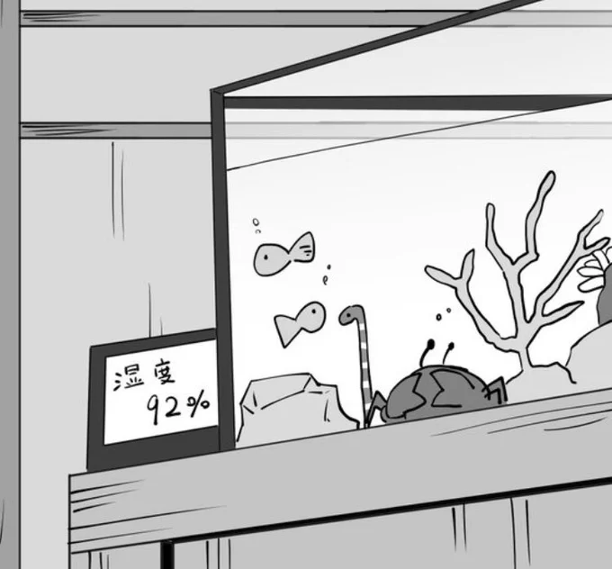 余談なんですけどこの水槽
ノリで描いてますがトラフカラッパみたいな水質汚しまくる生体ぶち込んでかつハードコーラルのサンゴまで育成可能にするには、相当馬鹿でかいオーバーフロー水槽になります。
きっと棚の下はとんでもないことになっているかと思います。 