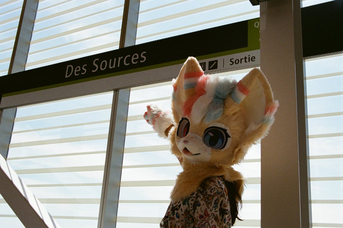 年糕糕糕糕(@ningogogog19911) / Posts / X
