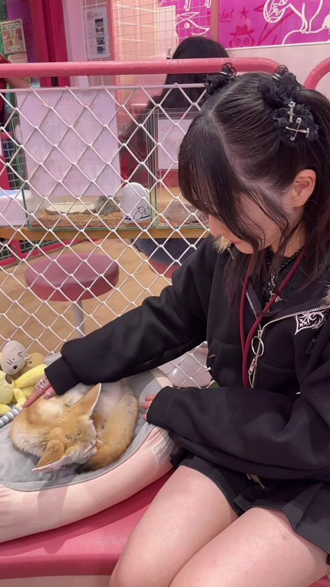 たっくん tweet media