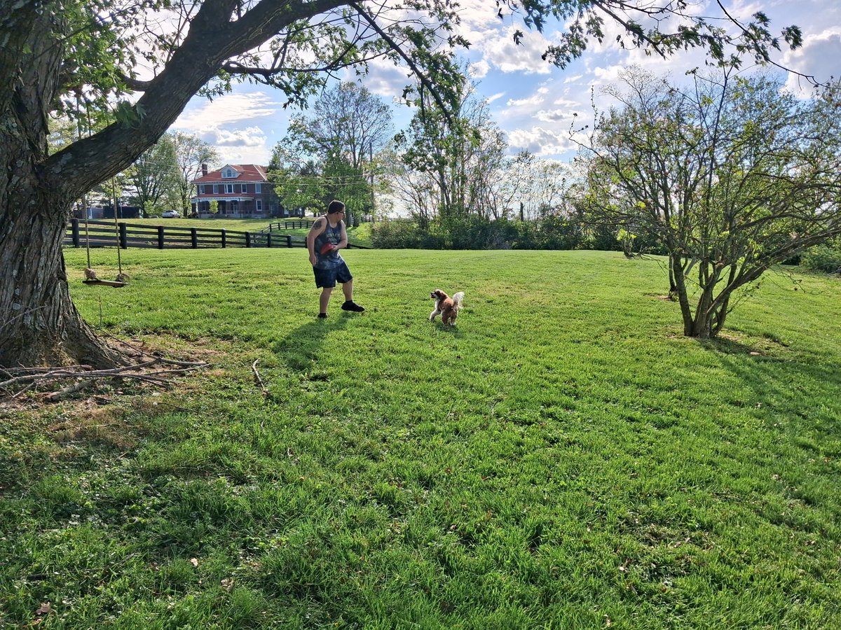 RyanBaker0913's tweet photo. I am moving to a farm guess house in old Maysville rd across from the white church and it is near judy drive in outdoor movie theater on june first  but may do it on may 30th or may 31st so i need to pack my stuff before me and dad and my pets  move https://t.co/29yIfCDHyj