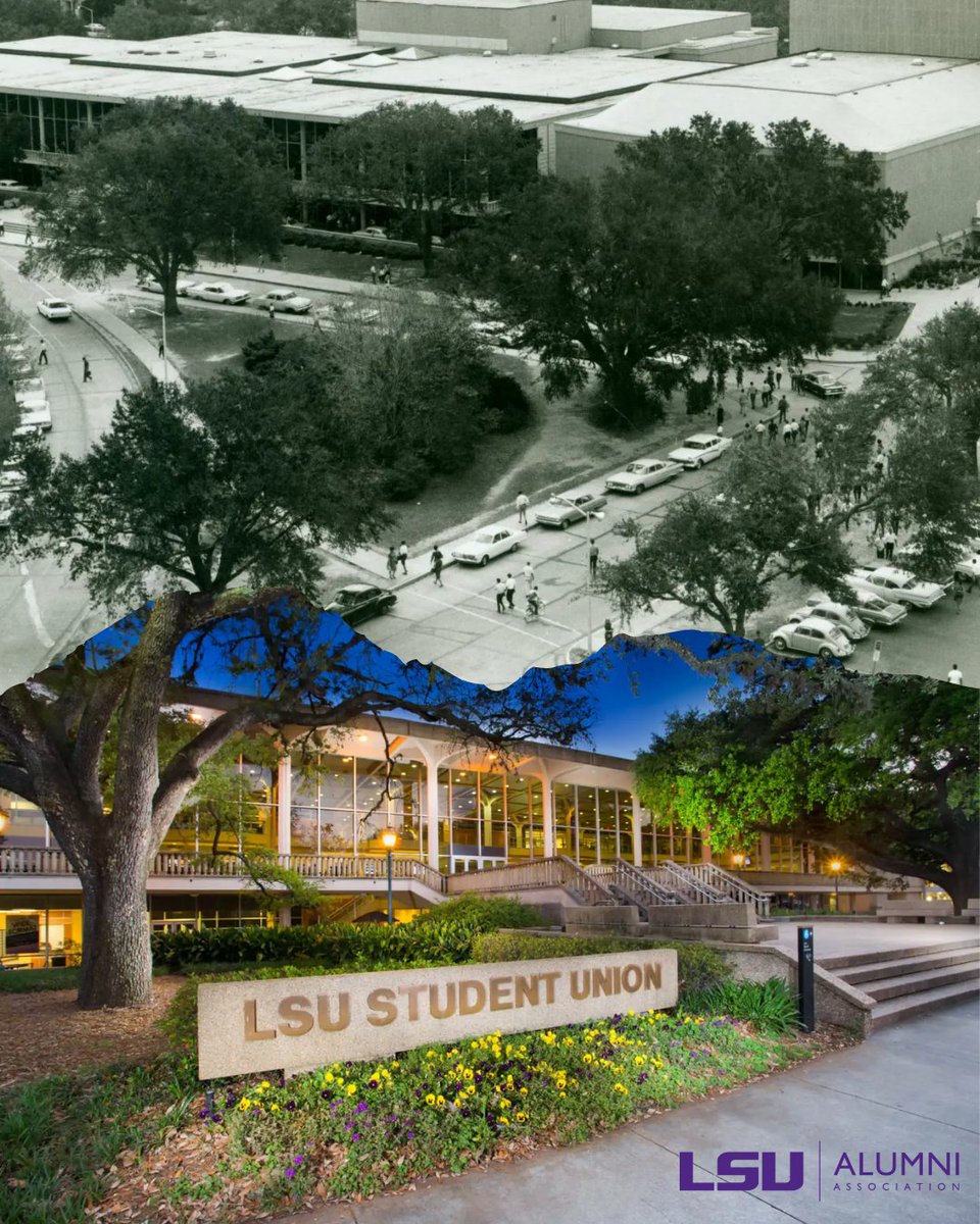 AlumniLSU's tweet photo. Different eras. Different stories. Same LSU pride. 🐯

From those who paved the way to the newest members of the alumni family, the Tiger spirit continues to connect generations past and present. 💜💛

#lsualumniassociation #lsualumni #lsupastandpresent #foreverlsu #geauxtigers https://t.co/9L6ehIx3o9