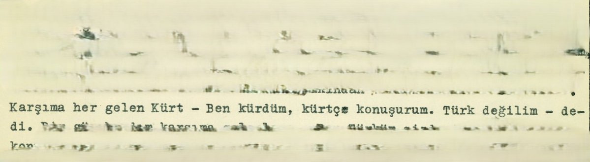 Saladin tweet media