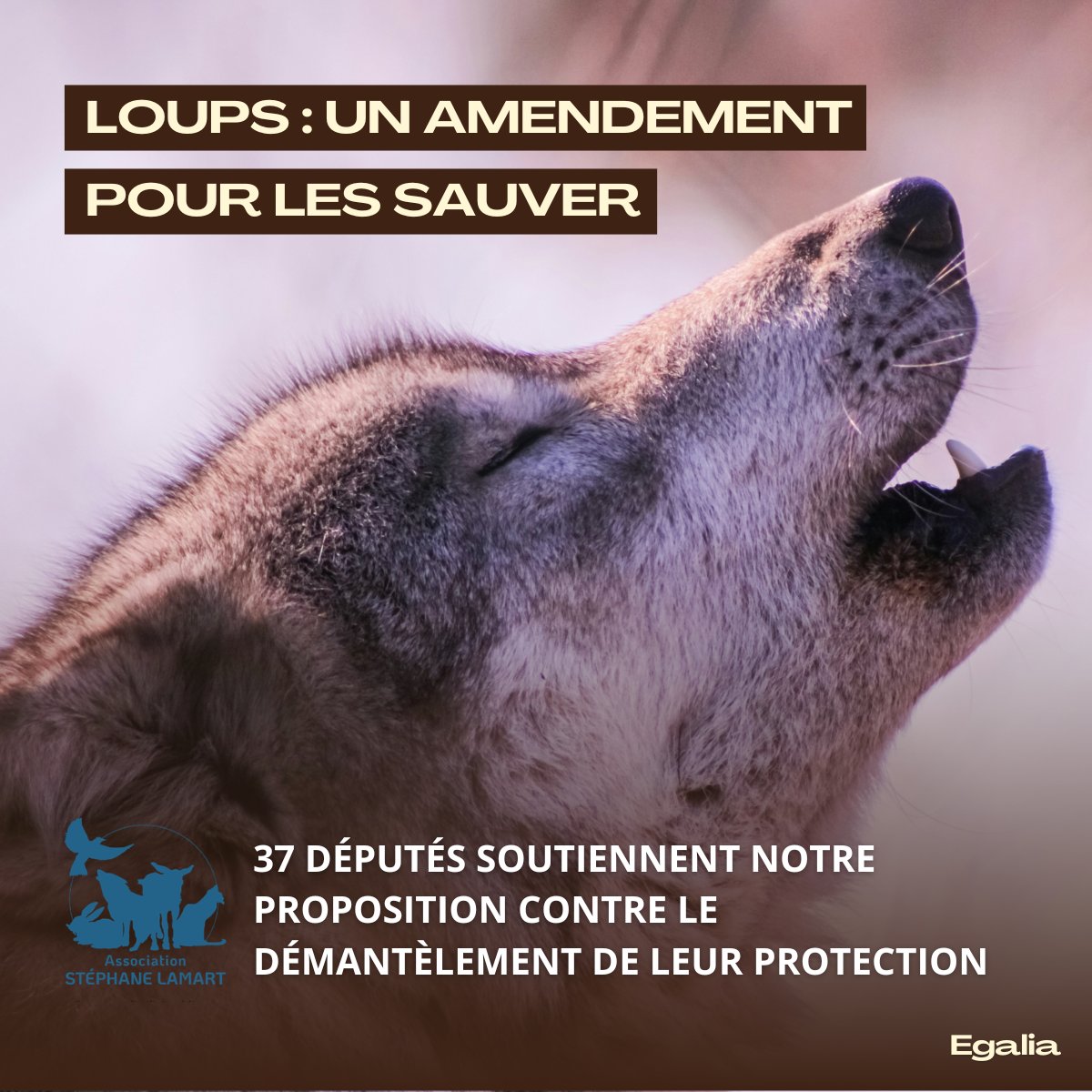 Association Stéphane Lamart tweet media