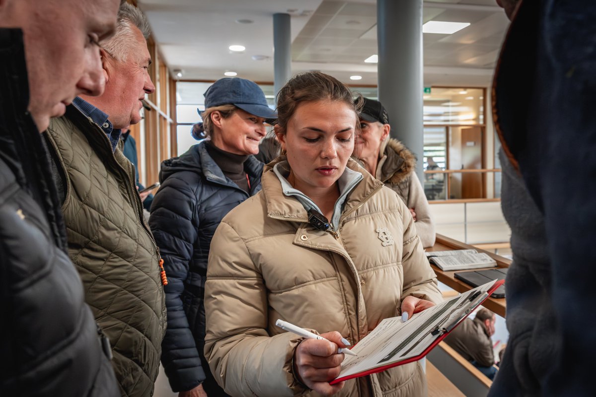 GoffsUK's tweet photo. Golden Horn gelding tops buoyant renewal of the Doncaster Spring Store Sale, with increases in turnover, average &amp; median. 

Read more: https://t.co/aEDvqMEYMr

#GoffsSpring | #SpringLoaded https://t.co/GDedSX9hxe