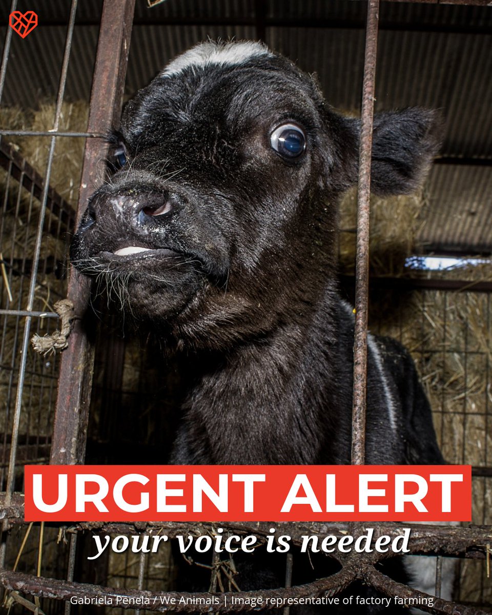 The Humane League tweet media