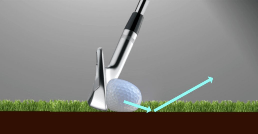 Adam Young Golf tweet media