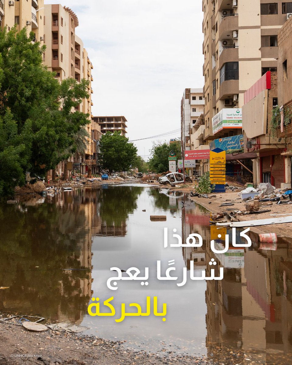 مفوضية اللاجئين tweet media