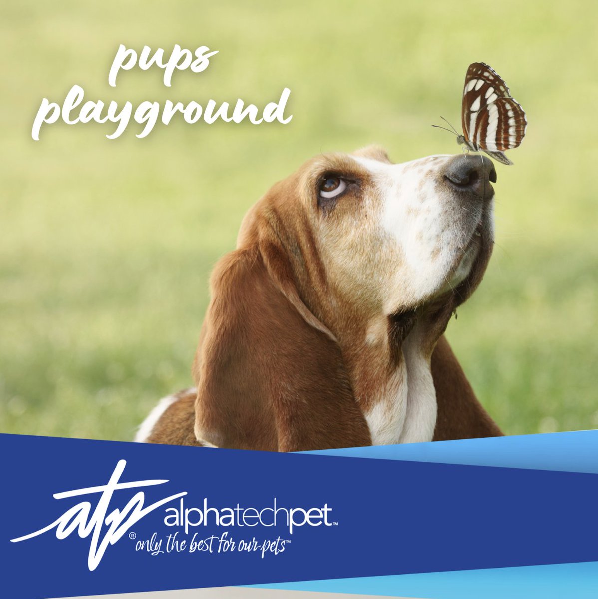 AlphaTechPetInc's tweet photo. Chasing butterflies, digging in the dirt, and jumping in every puddle they find, spring is a pup’s favorite playground. We’ll take care of the mess so they can keep the fun going. Keep coats fresh with PetSuds®: https://t.co/iJCFUFGZAI #MessyMoments #SpringAdventures https://t.co/aLAIGQfcCH