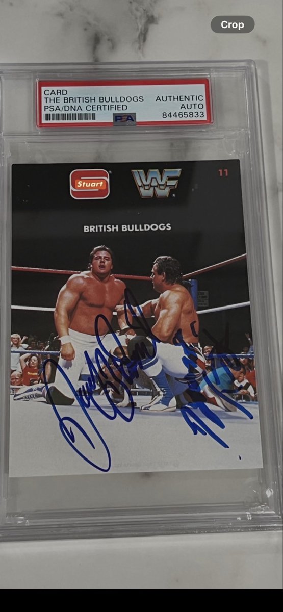 danny313131's tweet photo. On May 18, 2002 one of my favorite wrestlers passed away. Davey Boy Smith, who was part of the British Bulldogs with the Dynamite Kid, were immensely popular during the 1980’s. They won the World Tag Team Championship in WrestleMania 2 and are forever a childhood memory of mine ❤️ @CardPurchaser @DBSmithjr @Tweet_Wrestling @RealRichHopkins @PSAcard @OTD_in_WWE @JeremyCom @Axel_Foley13 @PennywiseReject @LasVegasSlabs