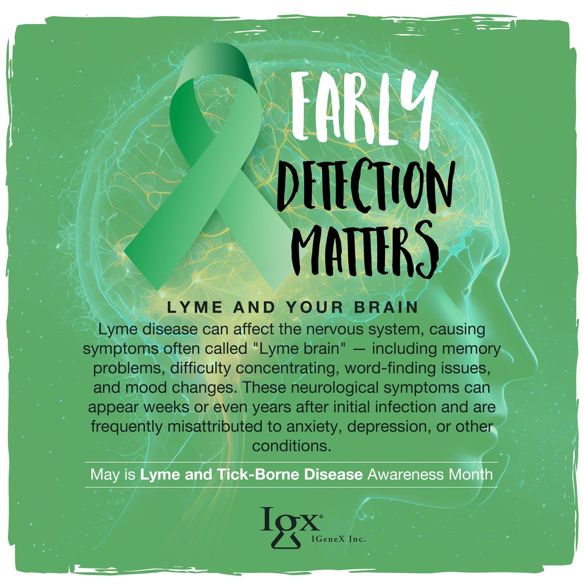 igenexlab's tweet photo. Lyme can impact the nervous system, causing memory issues, difficulty concentrating, and mood changes that are often misdiagnosed.

Learn more at https://t.co/QsaJUbDKed

#lymeawarenessmonth #igenex https://t.co/5zjrZAACGF