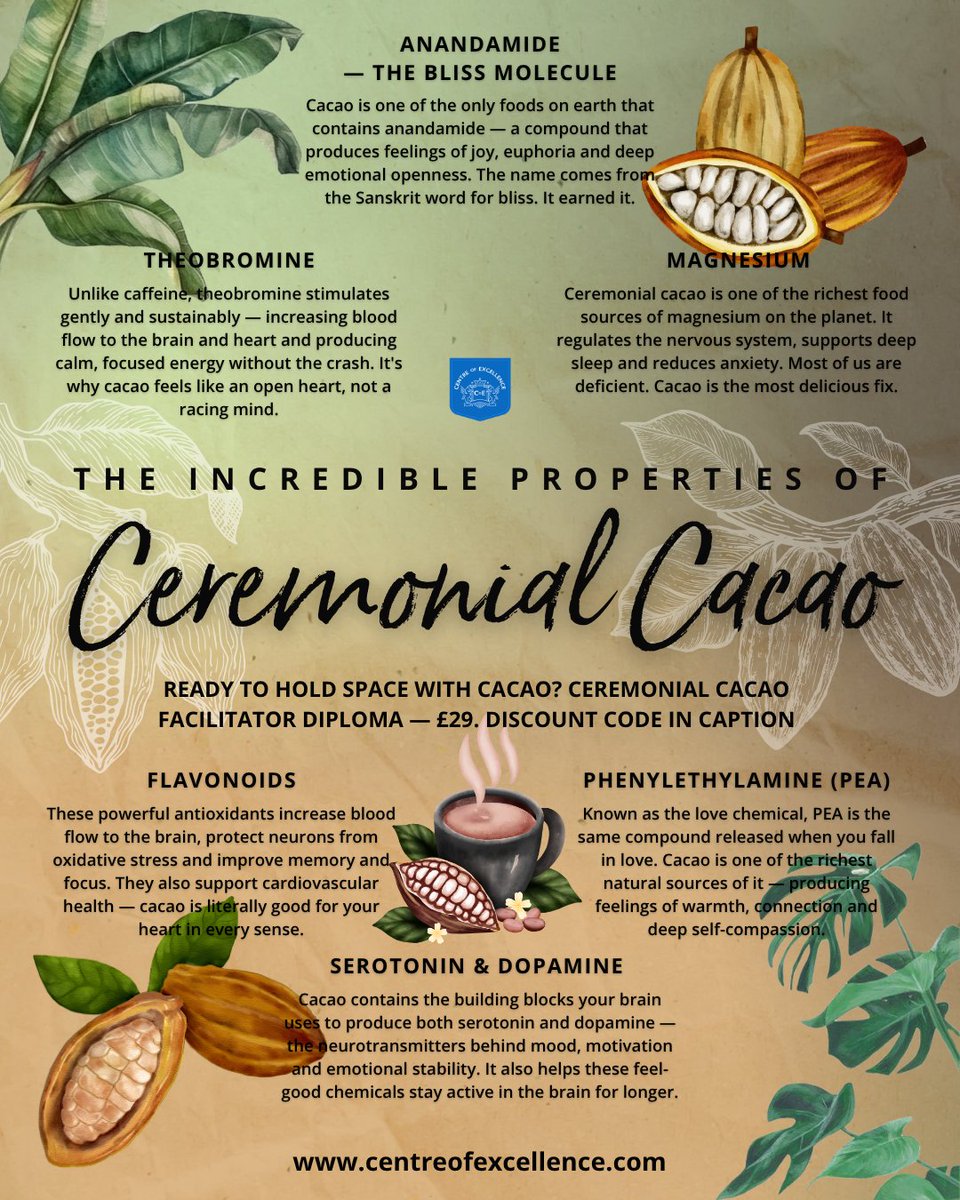 Online_Courses's tweet photo. Before chocolate was a treat, it was sacred medicine 🍫 The science behind ceremonial cacao is fascinating — and now you can learn to facilitate cacao ceremonies for others ✨ Ceremonial Cacao Facilitator Diploma — just £29
Use code UPSKILL at checkout 🔗 https://t.co/EUR7CbVlSr https://t.co/oNWoeUrRk7