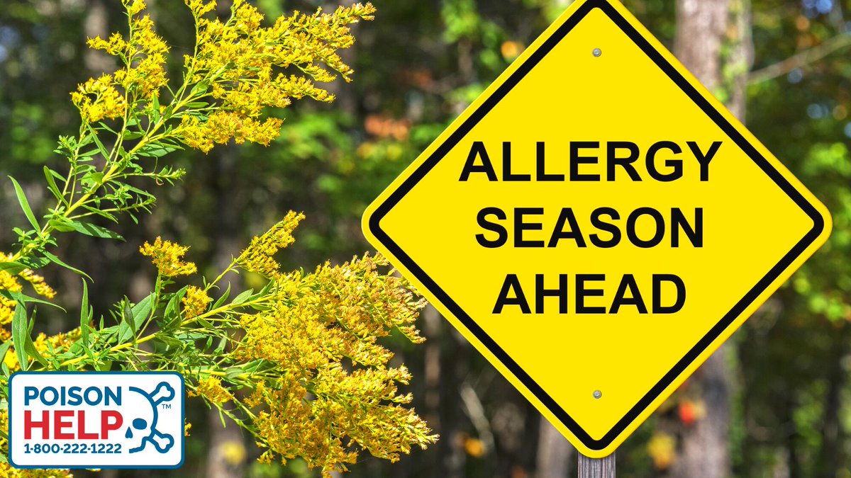 UpstatePoison's tweet photo. Medication mix-ups can be dangerous! With allergy season in full swing, be careful when combining over-the-counter meds. Some have the same active ingredients and can make you sick!

📞 Unsure what’s safe? Call our experts any time: 1-800-222-1222 https://t.co/7cNIoX2Ck1