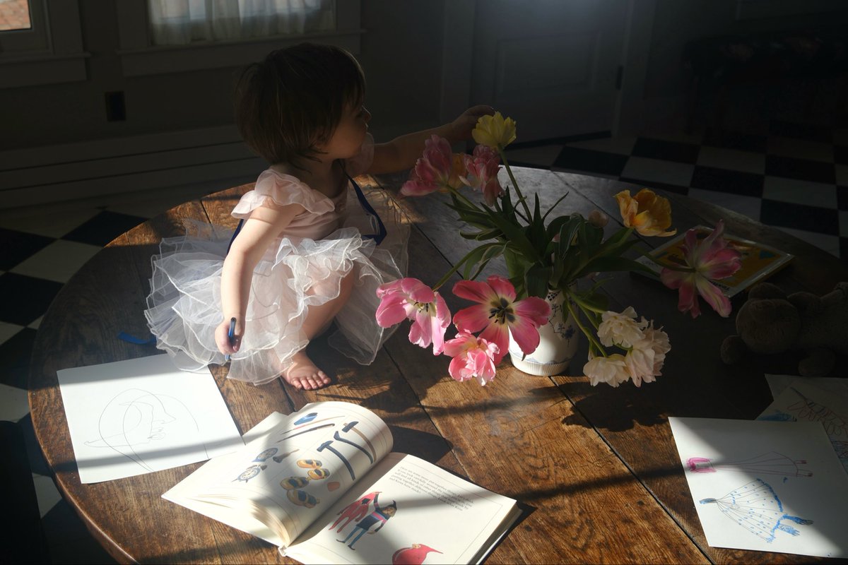 Pronatalism's tweet photo. I can imagine having been swept up in Tulip Mania. https://t.co/MP8GT9snHA