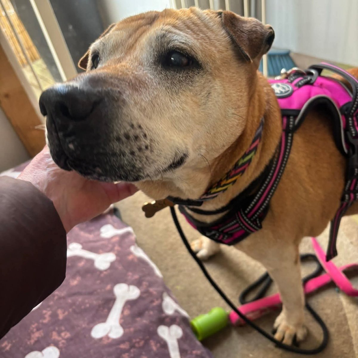 SeniorStaffy tweet picture