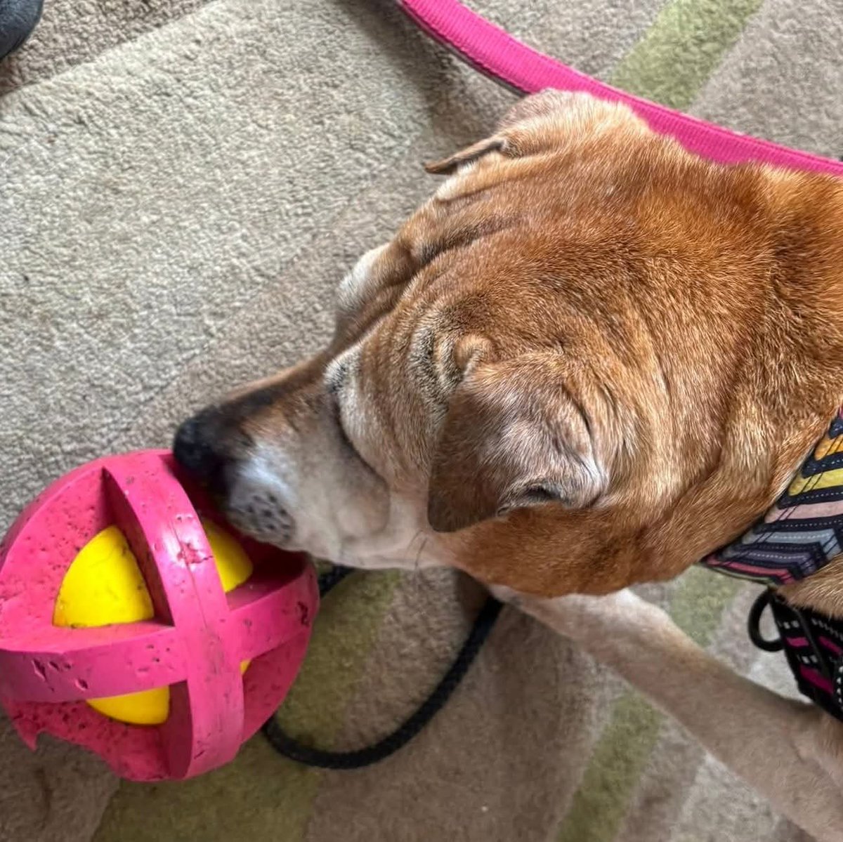 SeniorStaffy tweet picture