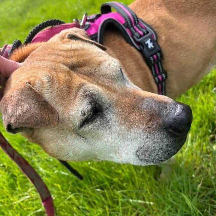 SeniorStaffy tweet picture