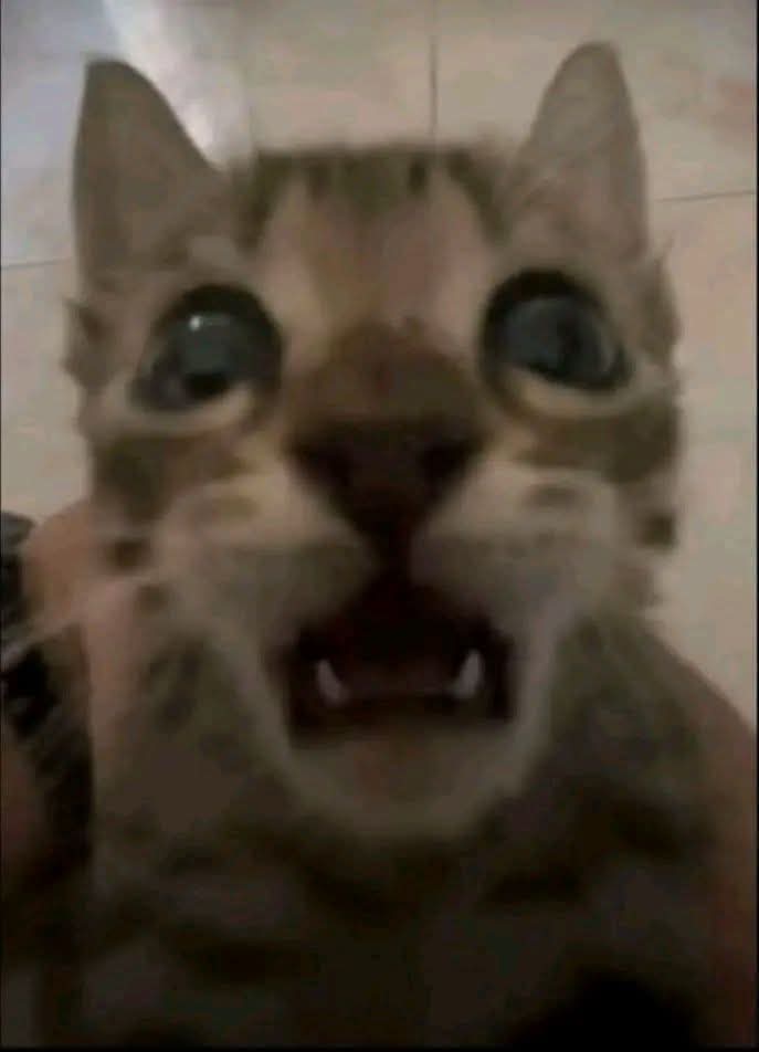 atomicsopp tweet picture