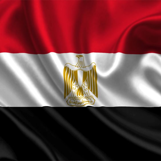 Maria George 🇪🇬 tweet media