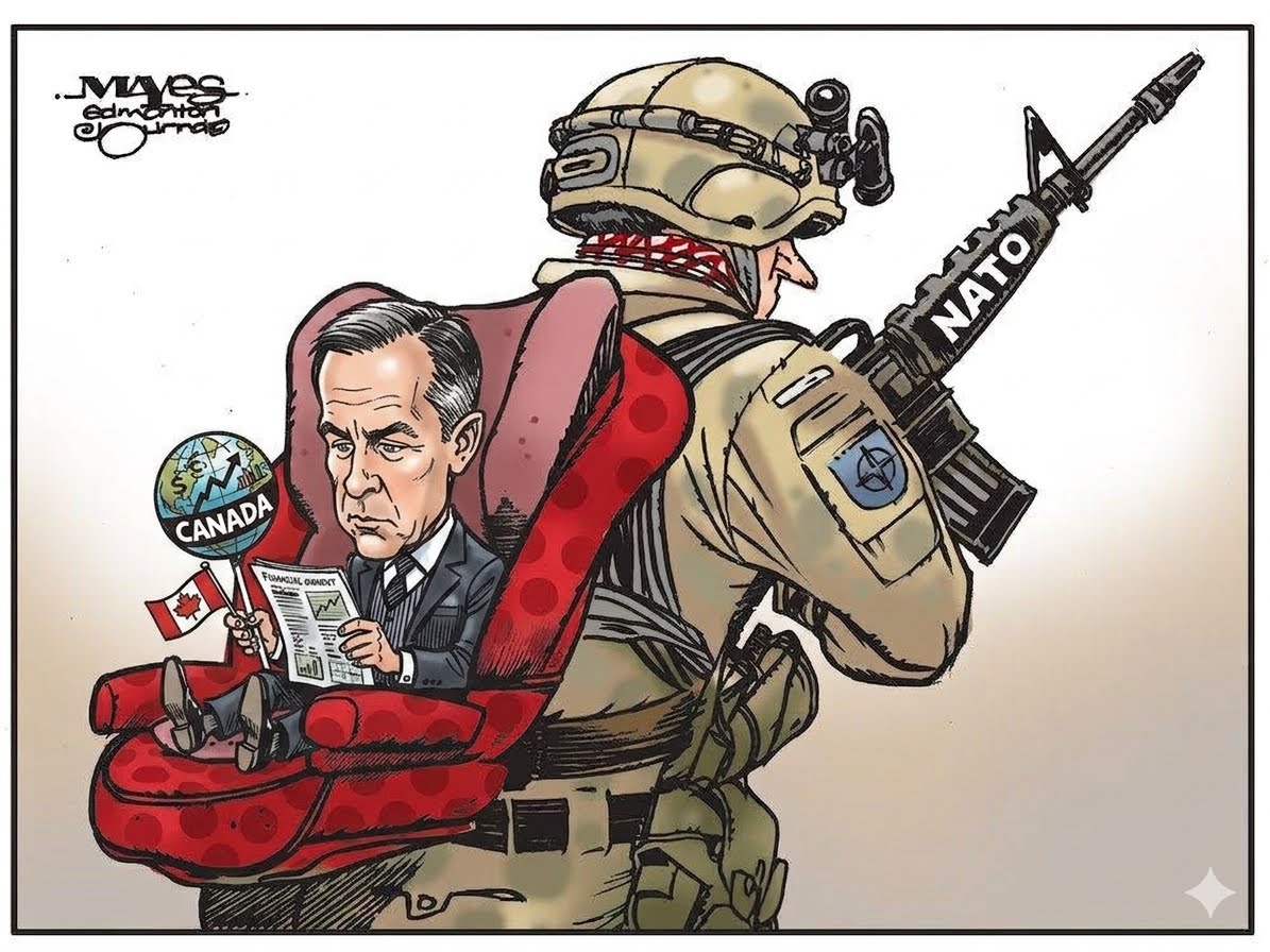 cam mac tweet media