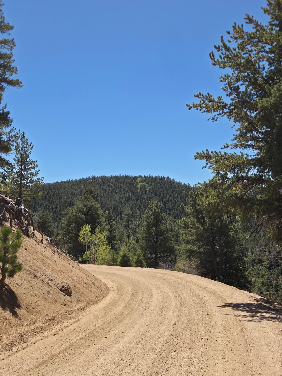 ViewFromTrails's tweet photo. Peace in the Pines...🌲☮️👣☮️🌲

#PeaceOut ☮️ https://t.co/pIKra08AeK