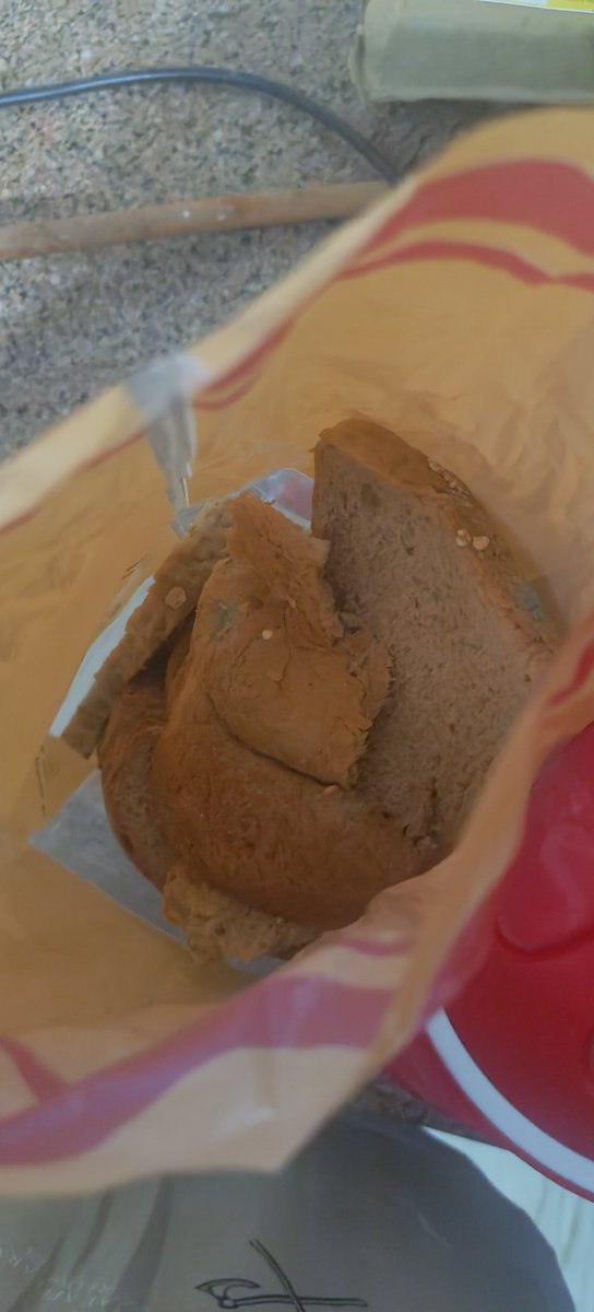 Tanmaymanral1's tweet photo. Ordered bread from @bigbasket_com and it arrived full of mold. No proper customer support, no accountability, nothing. What if someone had eaten this? At this point, @fssaiindia feels like the biggest joke while unsafe food reaches customers daily.Order BNN-1992888762-20260518 https://t.co/PLjjxckQjg
