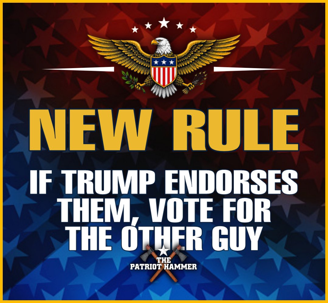 The Patriot Hammer tweet media