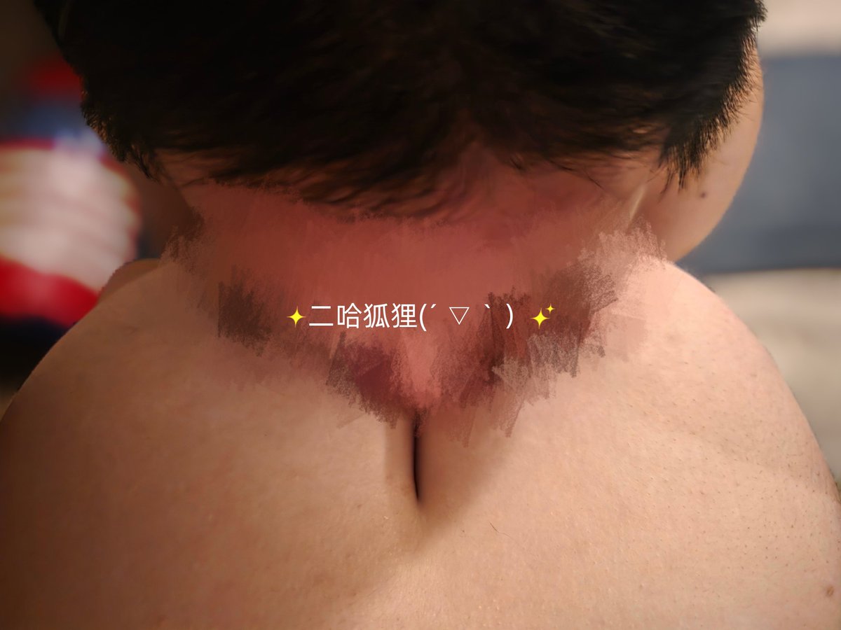 二哈狐狸😍 tweet media